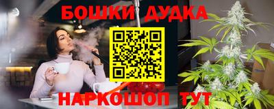 мдпв Партизанск