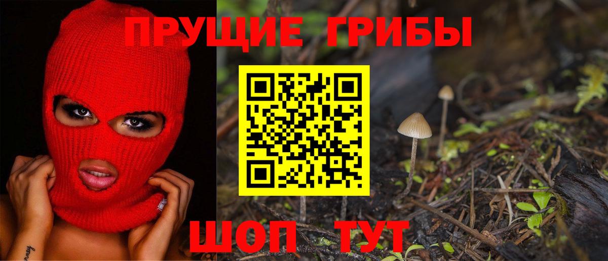 Серов  где купить   Вход с VPN  Галлюциногенные грибы прущие грибы 